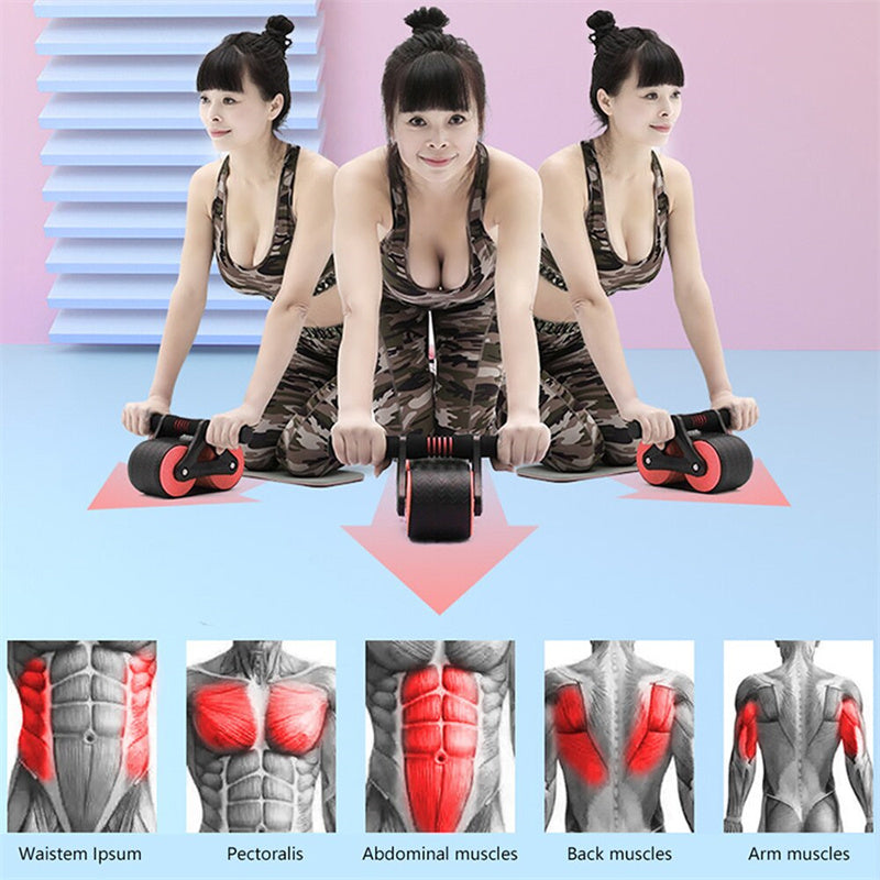 Ab Wheel Roller Exercise Devices