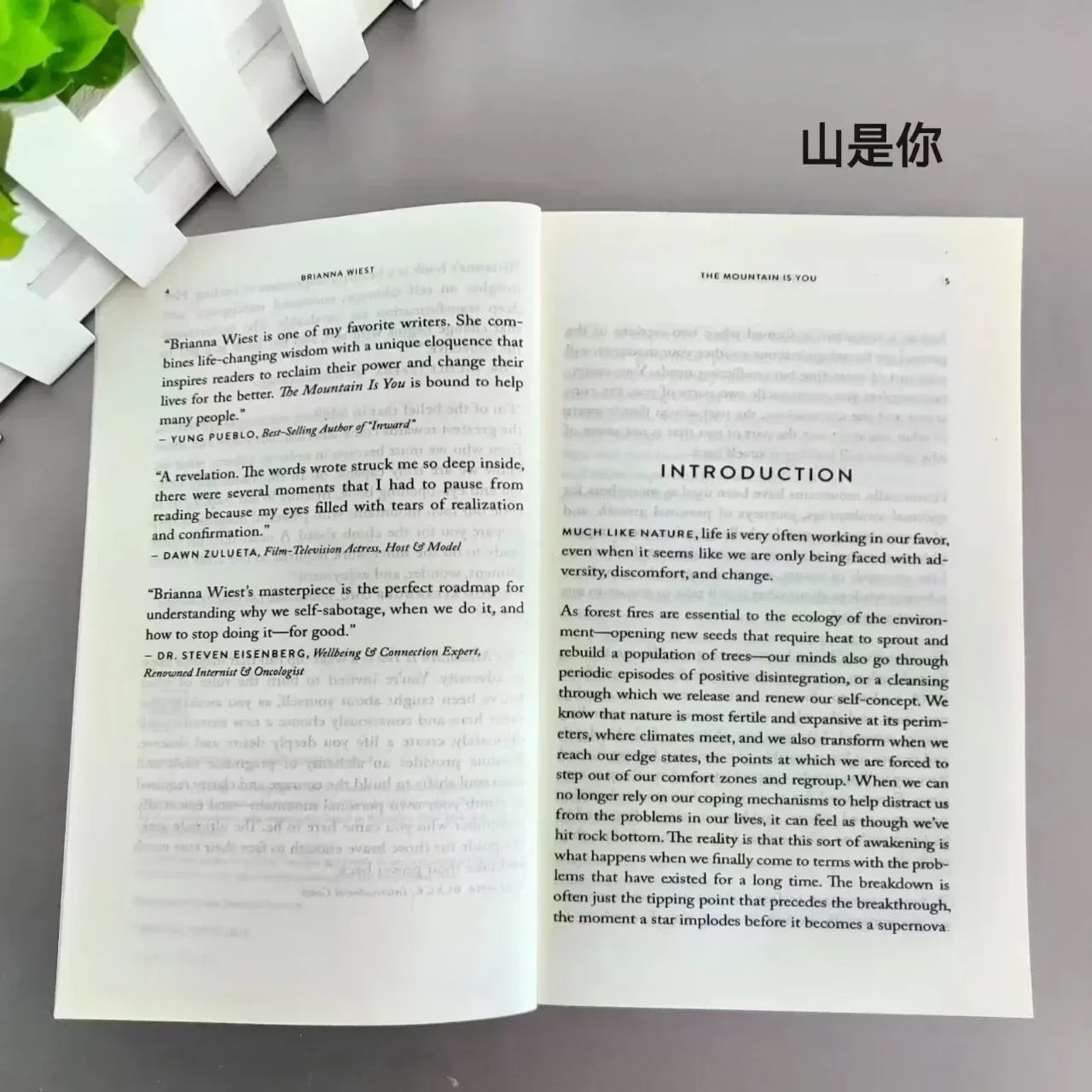 The Mountain Is You: Transforming Self-Sabotage Into Self-mastery