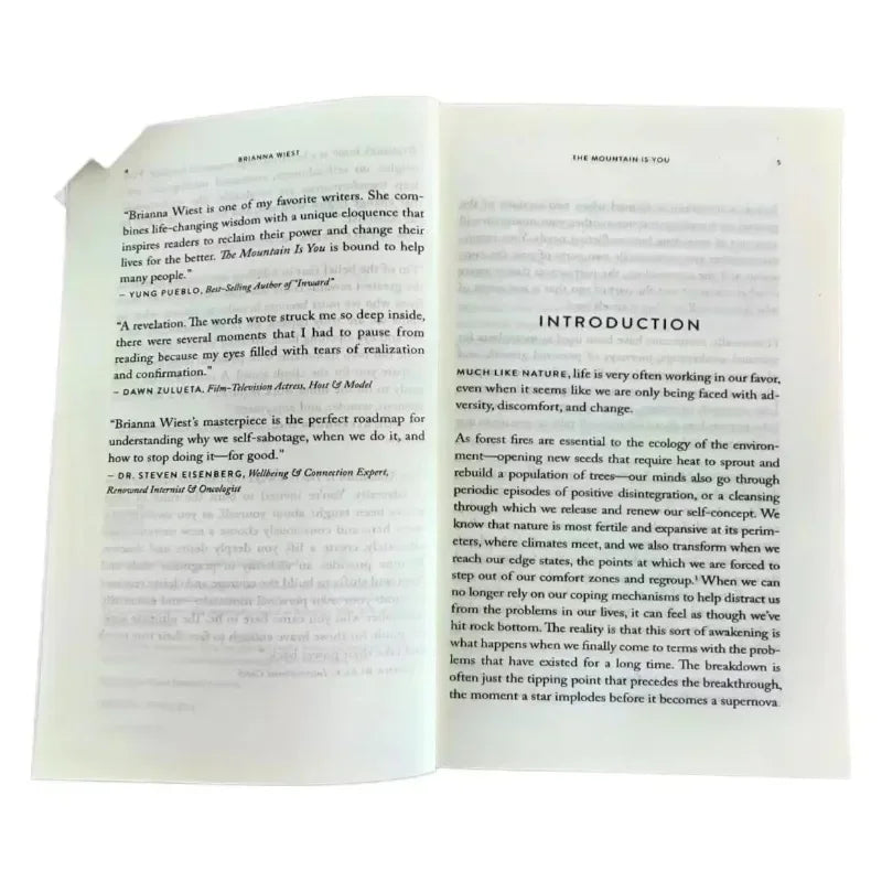 The Mountain Is You: Transforming Self-Sabotage Into Self-mastery