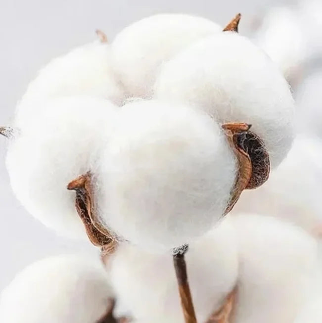 Gym Girl Attitude T-shirt