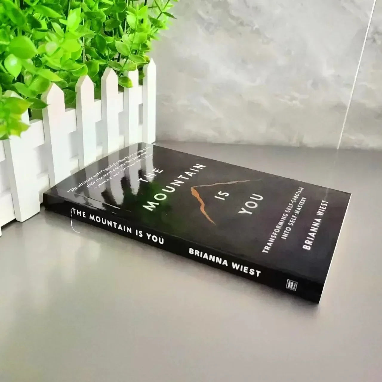 The Mountain Is You: Transforming Self-Sabotage Into Self-mastery