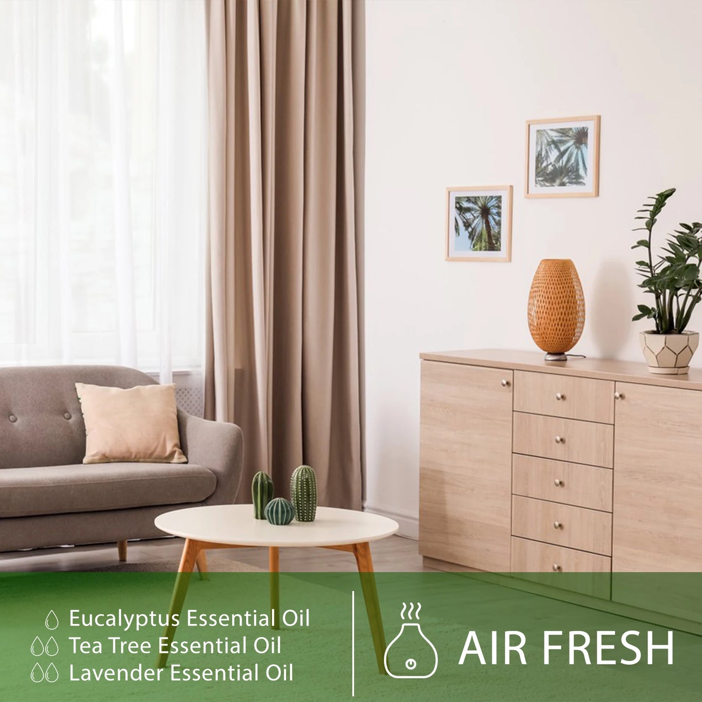 PHATOIL 6pcs Essential Oil Set 10ml