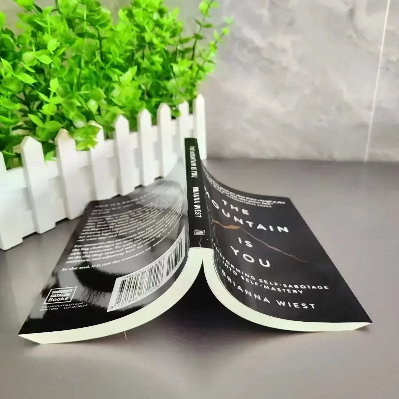 The Mountain Is You: Transforming Self-Sabotage Into Self-mastery